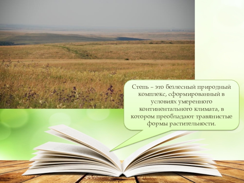 Презентация степи. Степь презентация 4 класс. Степи по окружающему миру. Природный комплекс степи. Степь природная зона 4 класс.