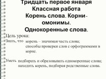 Презентация к уроку по теме Корень слова. Корни-омонимы. Однокоренные слова