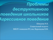 Проблемы деструктивного поведения школьников. Агрессивное поведение.