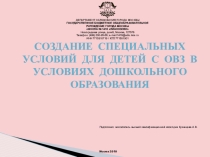 Презинтация Создание специальных условий для детей с ОВЗ в условиях дошкольного образования
