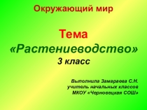 Презентация по окружающему миру Растениеводство