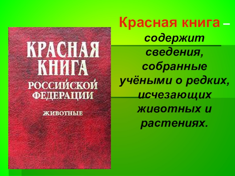 Проект о красной книге россии