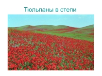 Презентация по окружающему миру на тему Растения и животные степи