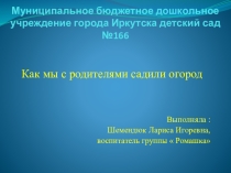 Презентация Как мы с родителями садили огород