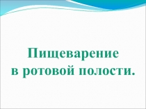 Презентация по биологии на тему Пищеварение в ротовой полости (8 класс)