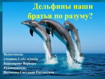 Презентация Люди и дельфины