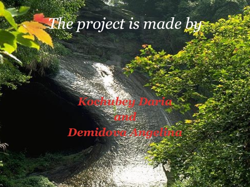 Проект по английскому языку на тему Travelling The project is made byKochubey DariaandDemidova Angelina The project is made byKochubey DariaandDemidova Angelina