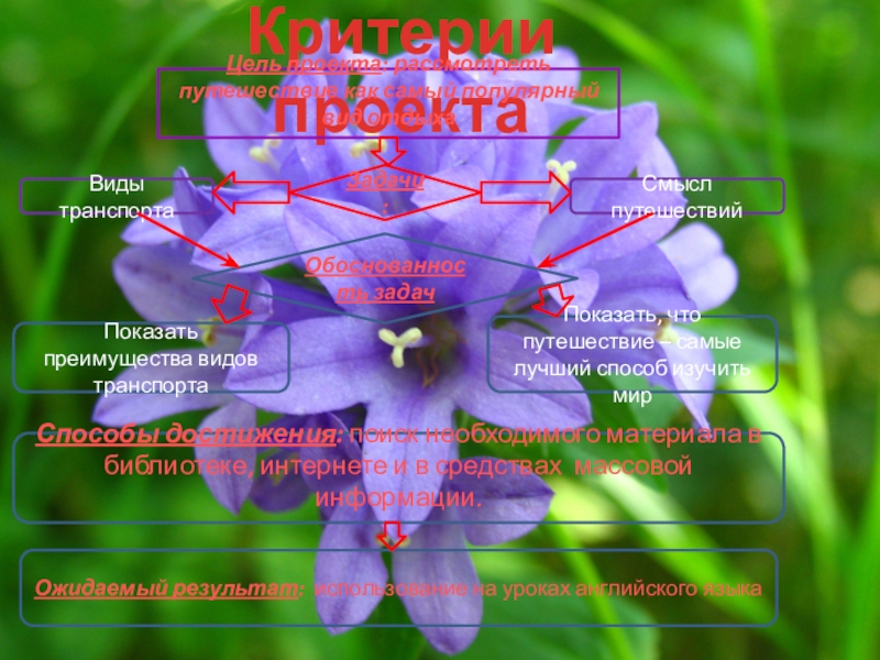 Презентация на тему Критерии проектаЦель проекта: рассмотреть путешествие как самый популярный Критерии проектаЦель проекта: рассмотреть путешествие как самый популярный вид отдыхаВиды транспортаСмысл путешествийЗадачи:Обоснованность задачПоказать преимущества видов транспортаПоказать, что