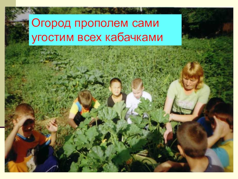 Презентация Социально - трудовая адаптация воспитанниковы Огород прополем сами угостим всех кабачками Огород прополем сами угостим всех кабачками