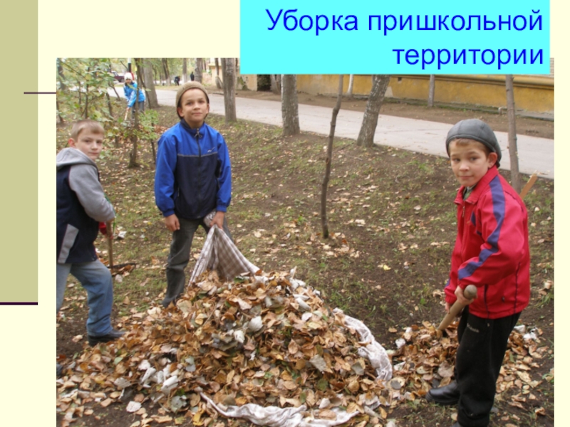 Презентация Социально - трудовая адаптация воспитанниковы Уборка пришкольной территории Уборка пришкольной территории