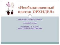 Презентация к исследовательской работе по теме Необыкновенный цветок орхидея