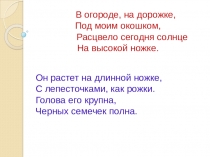 Презентация Подсолнух к уроку чтения в 4 классе специальной (коррекционной) школе для детей с нарушениями интеллекта