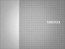 Презентация к уроку Митоз