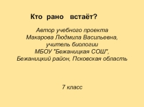 Проектная презентация по биологии по теме Птицы