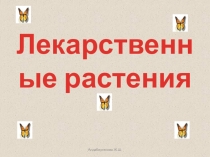 Презентация к уроку по теме Лекарственные растения