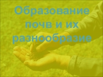 Презентация по географии на тему Типы почв России