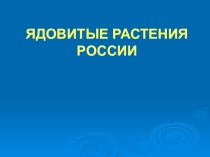 Презентация Ядовитые растения Краснодарского края