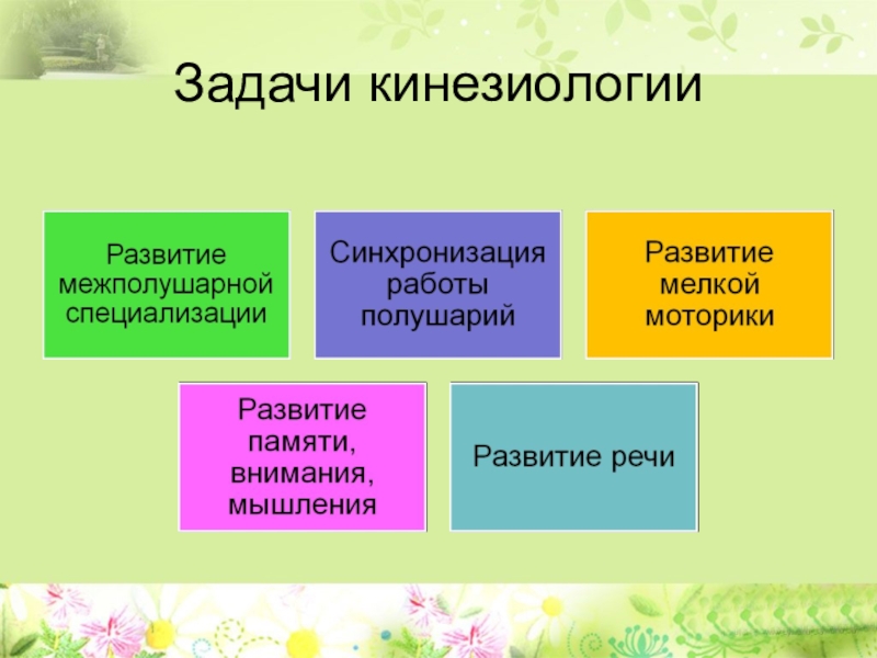 Кинезиология или гимнастика мозга как средство коррекции и развития детей с ограниченными возможностями здоровья Задачи кинезиологии Задачи кинезиологии