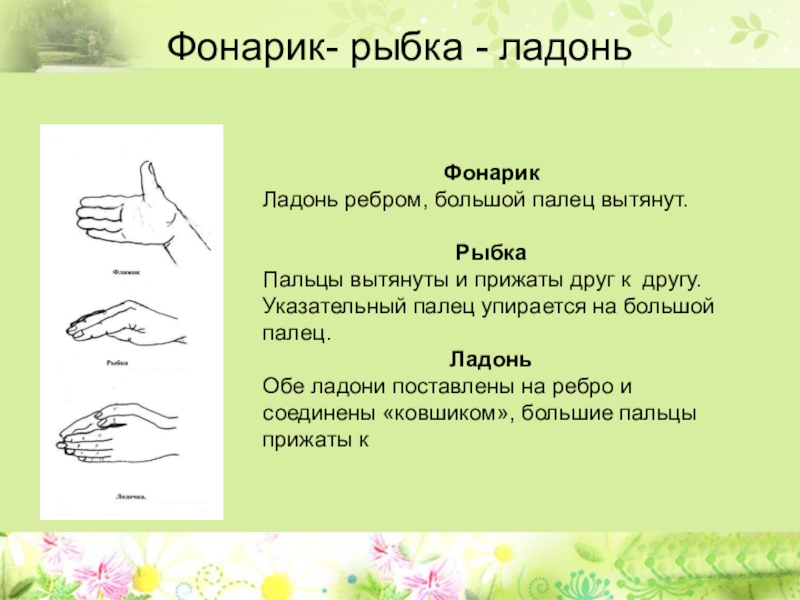 Кинезиология или гимнастика мозга как средство коррекции и развития детей с ограниченными возможностями здоровья Фонарик- рыбка - ладоньФонарикЛадонь ребром, большой палец вытянут.РыбкаПальцы вытянуты и прижаты Фонарик- рыбка - ладоньФонарикЛадонь ребром, большой палец вытянут.РыбкаПальцы вытянуты и прижаты друг к другу.Указательный палец упирается на