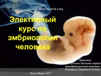 Элективный курс по эмбриологии человека