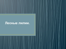 Лесные лилии.