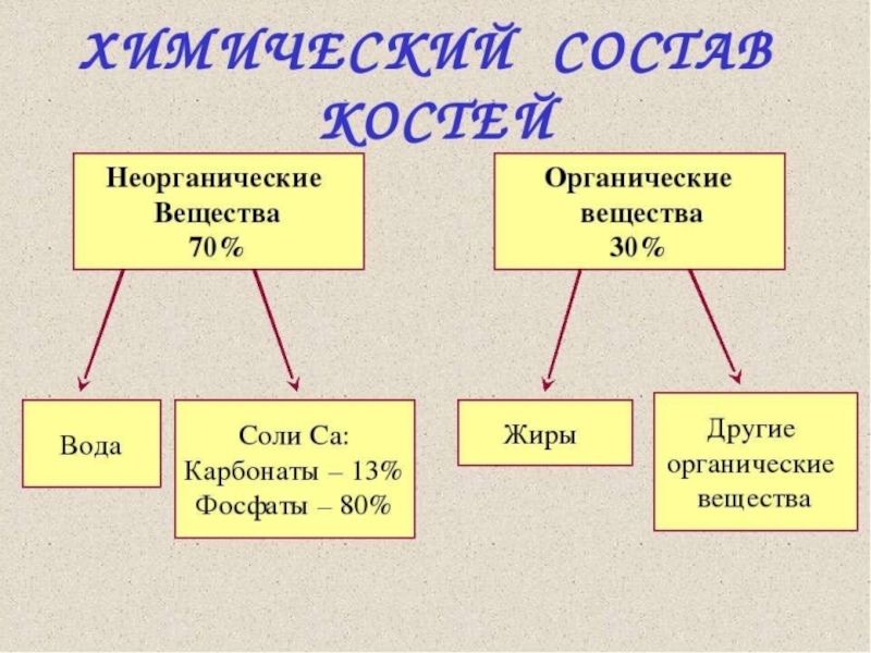 Неорганические кости. Химический состав костей человека 8 класс. Химический состав костей схема. Состав костей биология 8 класс. Органические и неорганические вещества кости.