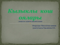 Презентация ко дню птиц - птичьи гнезда