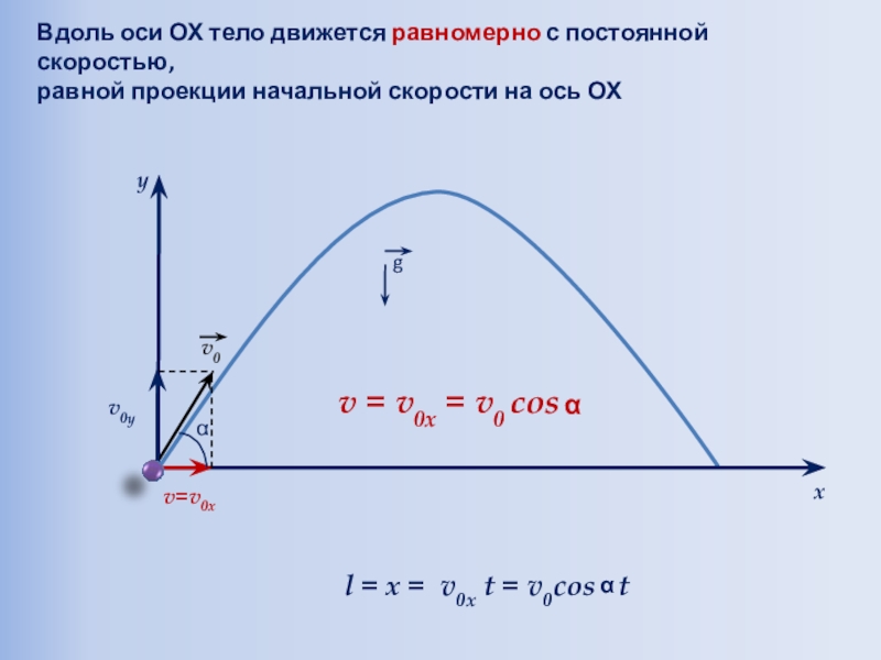 Презентация к открытому уроку по физике/математике Баллистическое движение yxВдоль оси ОХ тело движется равномерно с постоянной скоростью, равной проекции начальной скорости на ось ОХv0v=v0хv0y yxВдоль оси ОХ тело движется равномерно с постоянной скоростью, равной проекции начальной скорости на ось ОХv0v=v0хv0y