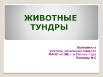 Окружающий мир Животные тундры