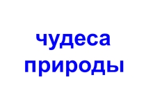 Экологическое воспитание дошкольников : Чудеса природы на земле.