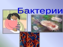 Презентация по биологии на тему Бактерии