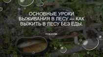 Еда для выживания в лесу