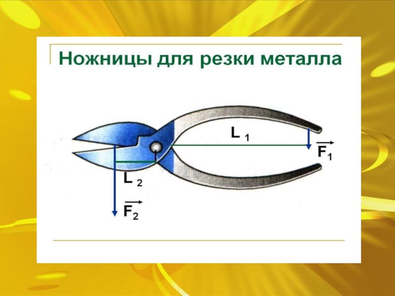 Пользуясь рисунком 169 объясните действие ножниц рычага