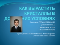 Презентация по окружающему миру на тему:Как вырастить кристаллы в домашних условиях