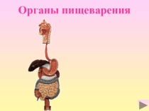 Презентация по окружающему миру УМК Гармония