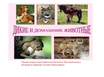 Презентация по окружающему природному миру на тему : Домашние и дикие животные.