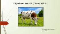 Презентация по кулинарии на тему: Обработка костей (Повар,ОВЗ)