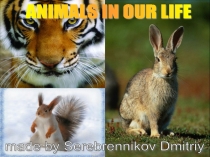 Презентация к уроку на тему Животные