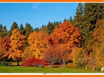 Презентация по математике на тему Число и цифра 9