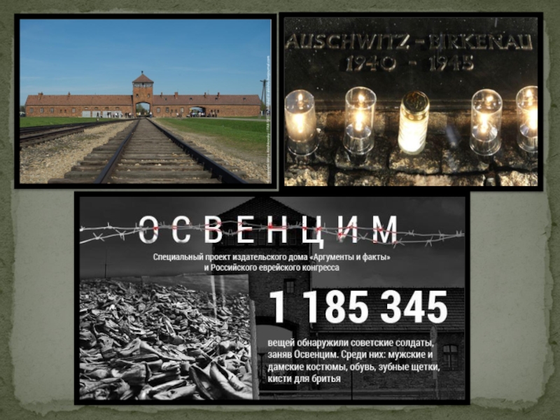 Презентация для классного часа на тему Холокост (8 класс)