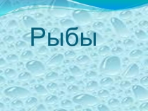 Презентация по окружающему миру Рыбы (2 класс)