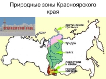 Презентация к уроку Природа и экология Красноярского края 5 класс на тему Природные зоны края