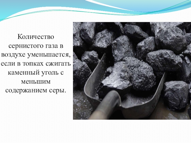 Появление каменного угля