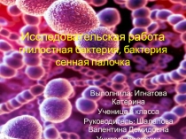 Презентация по теме  Гнилостная бактерия, бактерия сенная палочка