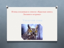 Птицы живущие в Лосиновом острове