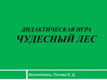 Дидактическая игра Чудесный лес