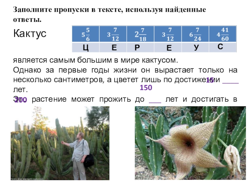Воспитание в греции заполните пропуски в тексте. Прочитайте текст и заполните пропуски. Страница с текстом ответы заполнить. Для счета человечество использует заполни пропуски. Задание заполнить пропуски.