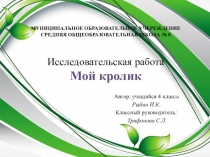 Исследовательская работа ученика на тему  Мой кролик