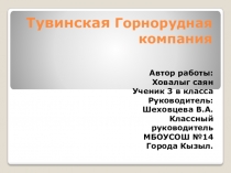 Проект. Тувинская горнорудная компания.