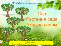 Презентация к уроку по миру природы и человека на тему Сад. Растения сада. Уход за садом (4 класс)
